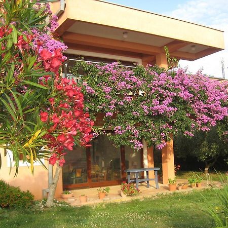 Apartman Lavanda 칼리 외부 사진