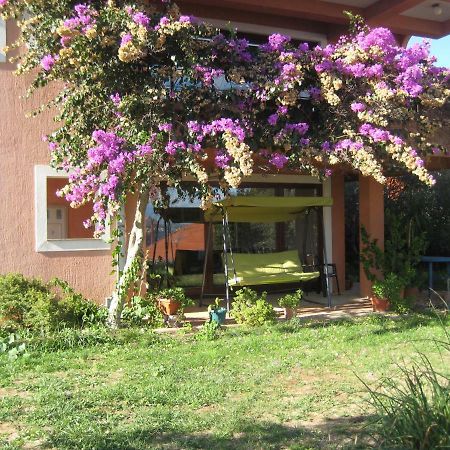 Apartman Lavanda 칼리 외부 사진