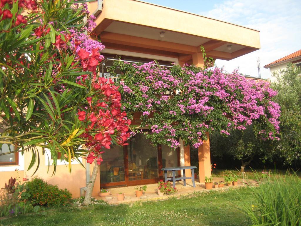 Apartman Lavanda 칼리 외부 사진