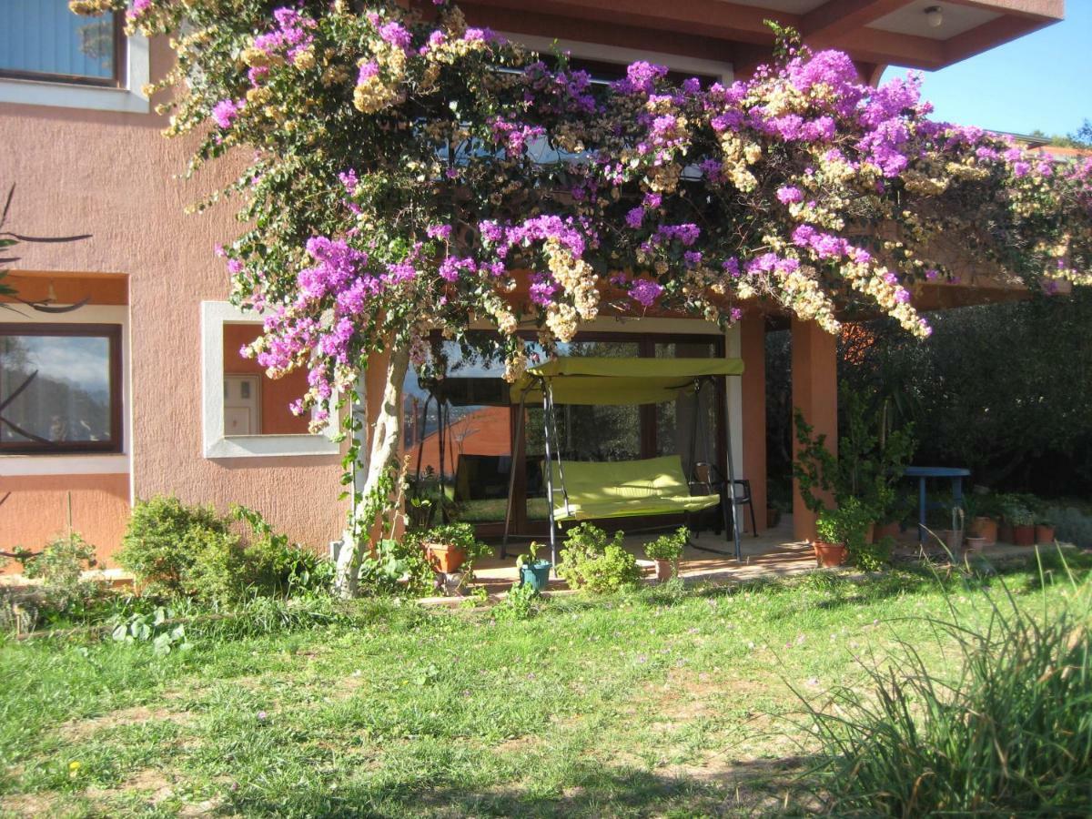 Apartman Lavanda 칼리 외부 사진